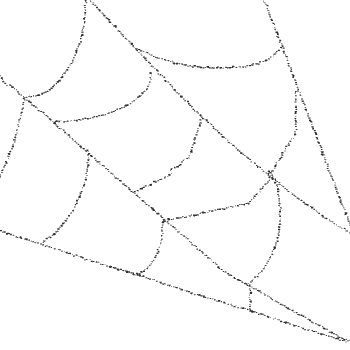 Internet resume spider